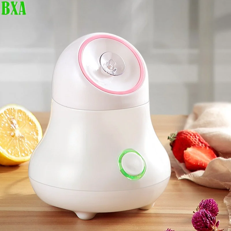 Facial Steamer Nano - باخرة الوجه الفواكه والخضروات ، نانو