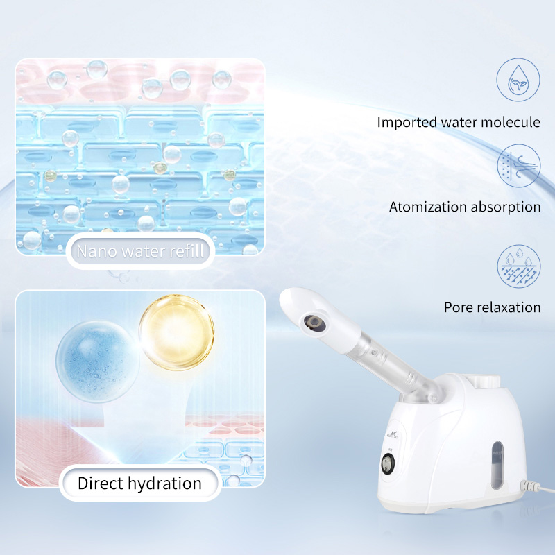 العناية المهنية الأجهزة الصغير - مراجعة Facial Steamer Nano وسعره